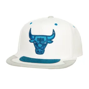 Mitchell & Ness Day 4 Snapback Hat